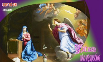 Đức Maria bảo vệ sự sống