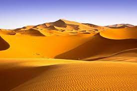 Sa mạc nơi tình đầu