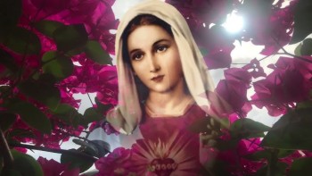 Thánh ca Phụng vụ - Lễ Đức Mẹ Lên Trời