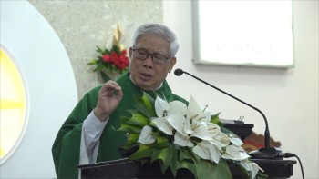 Bài giảng lễ Chúa Nhật XVI Thường Niên -Năm B