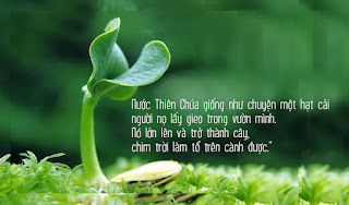 Hạt giống Nước Trời