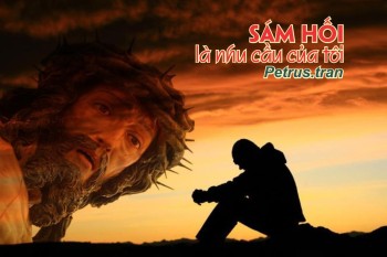 Sám hốí là nhu cầu của tôi