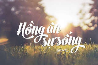 Tạ Ơn – Một Hồng Ân