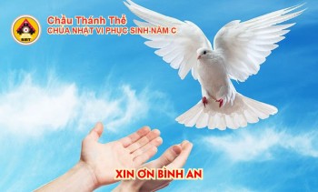 Chầu Thánh Thể -Chúa Nhật 6 Phục sinh C