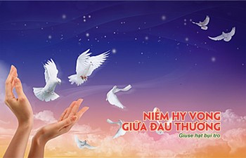 Niềm Hy Vọng Giữa Đau Thương