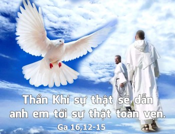 Bảy ngọn nến hồng