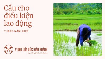 Ý Cầu Nguyện của Đức Thánh Cha tháng 5/2025