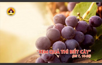 Lời Chúa THỨ TƯ TUẦN 12 THƯỜNG NIÊN