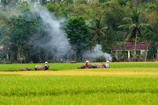 Nhớ quê!