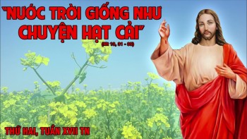 Hạt cải hóa cây