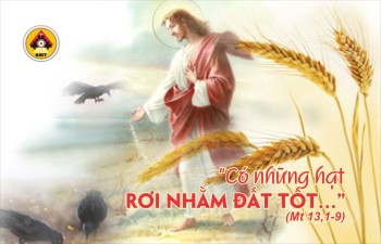 Lời Chúa THỨ TƯ TUẦN 16 THƯỜNG NIÊN