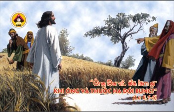 Lời Chúa THỨ BẢY TUẦN 22 THƯỜNG NIÊN