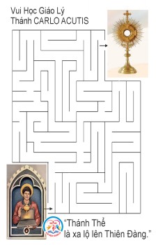 Vui Học Giáo Lý – Mê cung THÁNH CARLO  ACUTIS 
