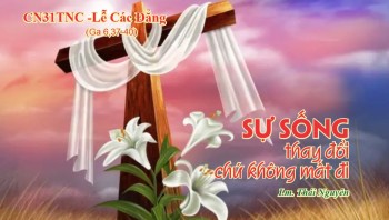 Sự sống thay đổi chứ không mất đi (Ga 6,37-40)