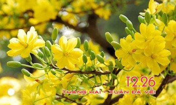 Tháng Hai –Xuân đã về!