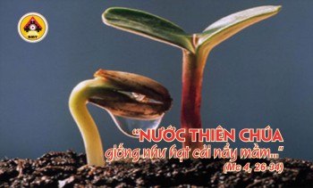 Lời Chúa THỨ SÁU TUẦN 3 THƯỜNG NIÊN