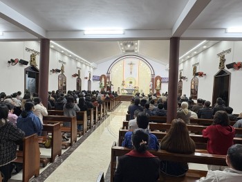 Giáo Xứ Kim Mai: Mừng Kính Thánh Tôma Aquinô Bổn mạnh Cha Quản xứ