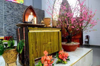 Gx Dũng Lạc : THÁNH LỄ MÙNG  3 TẾT BÍNH NGỌ