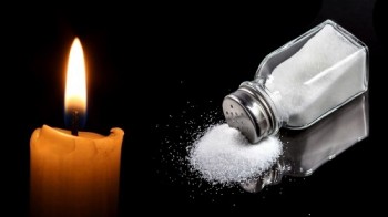 ​​​​​​​Con Xin Làm