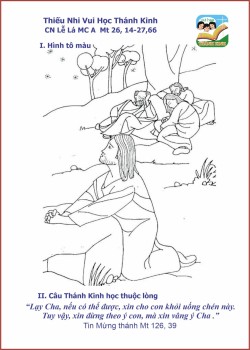 Thiếu Nhi VHTK - CN LỄ LÁ MCA - Hình tô màu