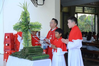 Giáo họ Trinh Vương cử hành Lễ Lá