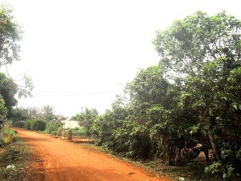 Nỗi lòng ai nhớ ai quên?