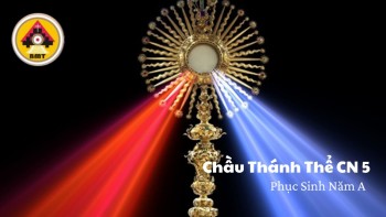 Chầu Thánh Thể Chúa Nhật 5 Phục sinh năm A