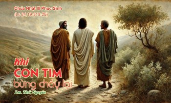 Khi con tim bừng cháy lại (Lc 24,13-35)