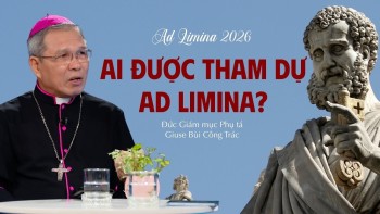 Ai Được Tham Dự Ad limina 2026