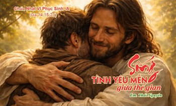 Sống tình yêu mến giữa thế gian