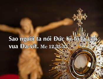 Đức Kitô là ai trong đời sống chúng ta?
