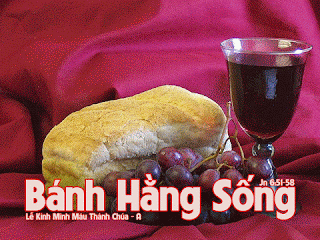 Thánh Thể là cuộc gặp gỡ