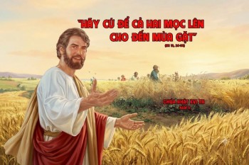 Đừng vội nhổ cỏ lùng