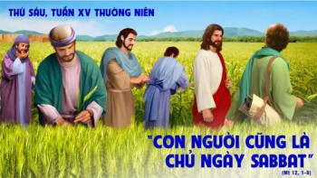 Lòng nhân là luật cao nhất