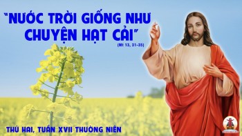 Hạt cải nhỏ – Nắm men âm thầm