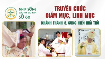 Nhịp sống Giáo hội Việt Nam - Số 80