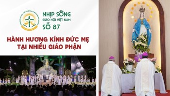 Nhịp sống Giáo hội Việt Nam - Số 87