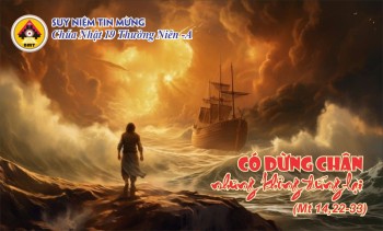 Có dừng chân nhưng không đứng lại