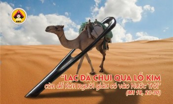 Lời Chúa THỨ BA TUẦN 20 THƯỜNG NIÊN