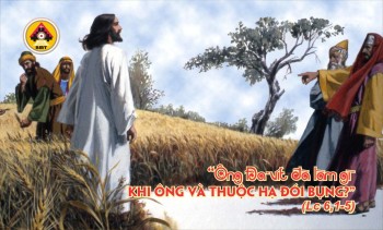 Lời Chúa THỨ BẢY TUẦN 22 THƯỜNG NIÊN
