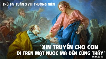 Đừng sợ - Thầy đây