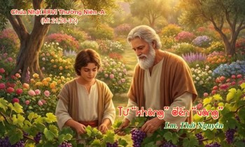 Từ “không” đến “vâng” (Mt 21,28-32)