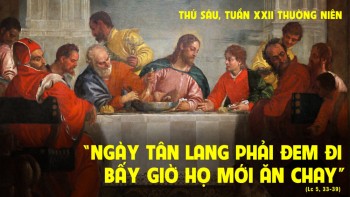 Kim chỉ nam của cuộc sống