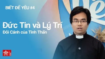 Đức Tin và Lý Trí – Đôi Cánh của Tinh Thần