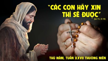 Cứ xin-cứ tìm-cứ gõ