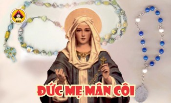 Lời Chúa THỨ TƯ TUẦN 27 THƯỜNG NIÊN