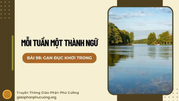 Gạn đục khơi trong