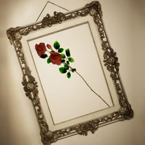 roses framed[1]