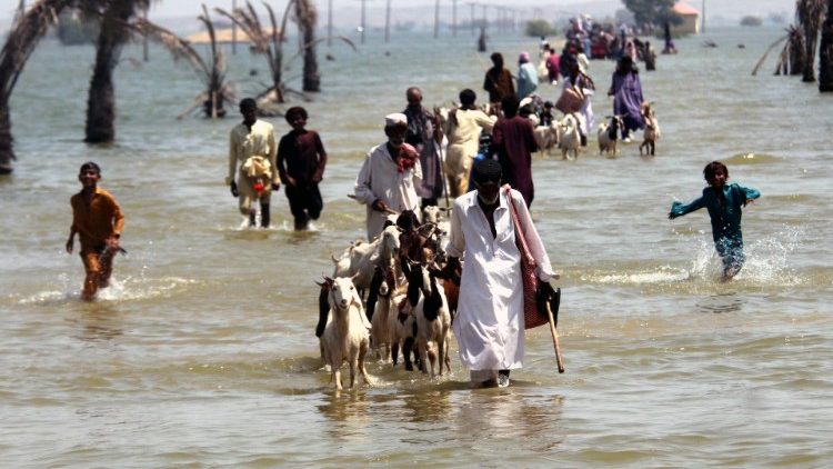 ĐTC trợ giúp Pakistan sau lũ lụt