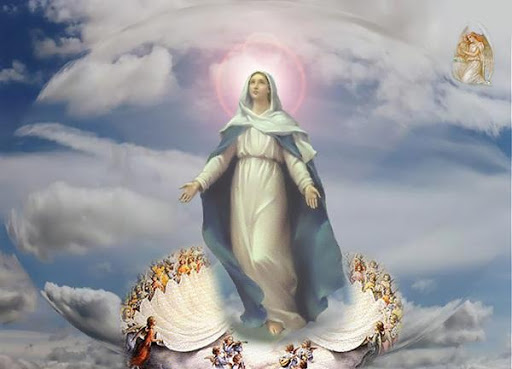 Giáo xứ Hoà Nam: Lễ Đức Maria Hồn Xác Lên Trời